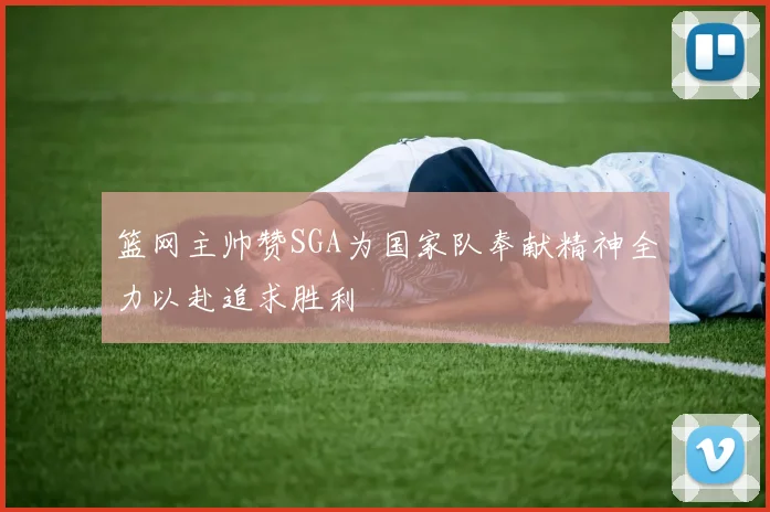 篮网主帅赞SGA为国家队奉献精神全力以赴追求胜利