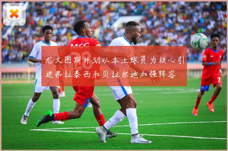 尤文图斯计划以本土球员为核心引进弗拉泰西和贝拉尔迪加强阵容